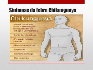 Sintomas da febre Chikungunya
 