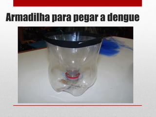 Armadilha para pegar a dengue
 