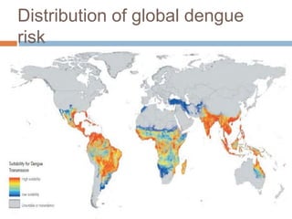 Distribution of global dengue
risk
 