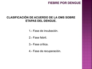 CLASIFICACIÓN DE ACUERDO DE LA OMS SOBRE
ETAPAS DEL DENGUE.
1.- Fase de incubación.
2.- Fase febril.
3.- Fase crítica.
4.- Fase de recuperación.
FIEBRE POR DENGUE
 