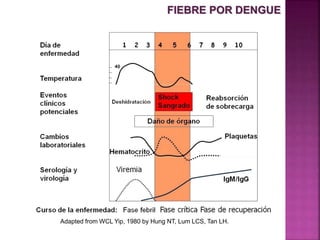 Adapted from WCL Yip, 1980 by Hung NT, Lum LCS, Tan LH.
FIEBRE POR DENGUE
 