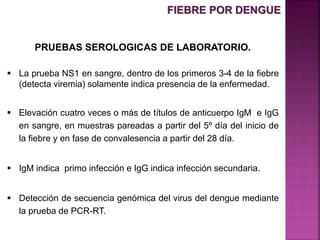 PRUEBAS SEROLOGICAS DE LABORATORIO.
 La prueba NS1 en sangre, dentro de los primeros 3-4 de la fiebre
(detecta viremia) solamente indica presencia de la enfermedad.
 Elevación cuatro veces o más de títulos de anticuerpo IgM e IgG
en sangre, en muestras pareadas a partir del 5º día del inicio de
la fiebre y en fase de convalesencia a partir del 28 día.
 IgM indica primo infección e IgG indica infección secundaria.
 Detección de secuencia genómica del virus del dengue mediante
la prueba de PCR-RT.
FIEBRE POR DENGUE
 