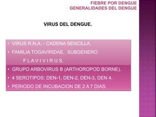 • VIRUS R.N.A. - CADENA SENCILLA.
• FAMILIA TOGAVIRIDAE, SUBGENERO
F L A V I V I R U S.
• GRUPO ARBOVIRUS B (ARTHOROPOD BORNE).
• 4 SEROTIPOS: DEN-1, DEN-2, DEN-3, DEN 4.
• PERIODO DE INCUBACION DE 2 A 7 DIAS.
VIRUS DEL DENGUE.
FIEBRE POR DENGUE
GENERALIDADES DEL DENGUE
 