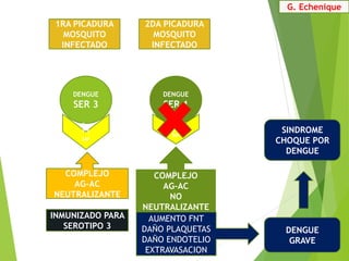 DENGUE
SER 3
AC3
COMPLEJO
AG-AC
NEUTRALIZANTE
DENGUE
SER 1
AC3
COMPLEJO
AG-AC
NO
NEUTRALIZANTE
INMUNIZADO PARA
SEROTIPO 3
AUMENTO FNT
DAÑO PLAQUETAS
DAÑO ENDOTELIO
EXTRAVASACION
DENGUE
GRAVE
SINDROME
CHOQUE POR
DENGUE
1RA PICADURA
MOSQUITO
INFECTADO
2DA PICADURA
MOSQUITO
INFECTADO
G. Echenique
 