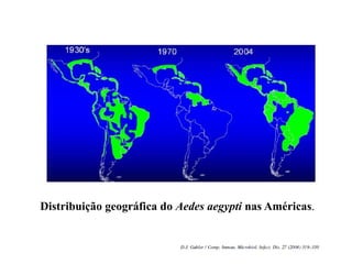 Distribuição geográfica do Aedes aegypti nas Américas.
 