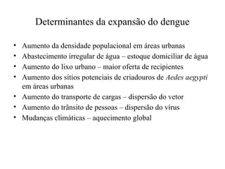 Determinantes da expansão do dengue
• Aumento da densidade populacional em áreas urbanas
• Abastecimento irregular de água – estoque domiciliar de água
• Aumento do lixo urbano – maior oferta de recipientes
• Aumento dos sítios potenciais de criadouros de Aedes aegypti
em áreas urbanas
• Aumento do transporte de cargas – dispersão do vetor
• Aumento do trânsito de pessoas – dispersão do vírus
• Mudanças climáticas – aquecimento global
 