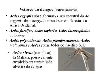Vetores do dengue (outros possíveis)
• Aedes aegypti subsp. formosus, um ancestral do Ae.
aegypti subsp. aegypti, transmissor em florestas da
África Ocidental.
• Aedes furcifer, Aedes taylori e Aedes luteocephalus
do Senegal.
• Aedes polynesiensis, Aedes pseudosculetaris, Aedes
malayensis e Aedes cooki, todos do Pacífico Sul.
• Aedes niveus (complexo)
da Malásia, possivelmente
envolvido em transmissão
silvestre do dengue
 