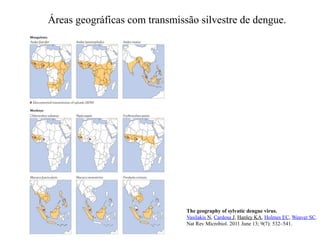 The geography of sylvatic dengue virus.
Vasilakis N, Cardosa J, Hanley KA, Holmes EC, Weaver SC.
Nat Rev Microbiol. 2011 June 13; 9(7): 532–541.
Áreas geográficas com transmissão silvestre de dengue.
 