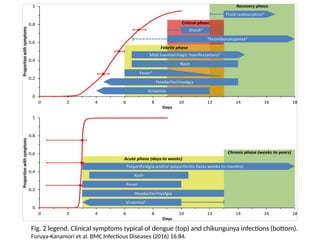 Fig. 2 legend. Clinical symptoms typical of dengue (top) and chikungunya infections (bottom).
Furuya-Kanamori et al. BMC Infectious Diseases (2016) 16:84.
 