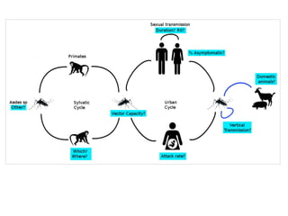 Arboviroses para agentes de saúde e equipe
