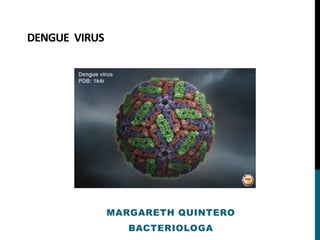 DENGUE VIRUS
MARGARETH QUINTERO
BACTERIOLOGA
 