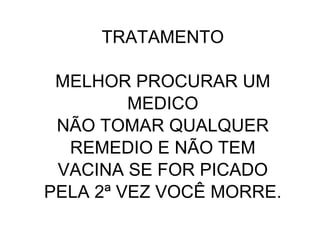 TRATAMENTO

 MELHOR PROCURAR UM
         MEDICO
 NÃO TOMAR QUALQUER
  REMEDIO E NÃO TEM
 VACINA SE FOR PICADO
PELA 2ª VEZ VOCÊ MORRE.
 