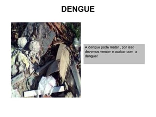 DENGUE



    A dengue pode matar , por isso
    devemos vencer e acabar com a
    dengue!
 