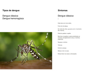 Tipos de dengue       Sintomas

Dengue clássica       Dengue clássica
Dengue hemorragíaca   :
 
