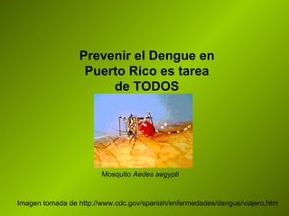Prevenir el Dengue en Puerto Rico es tarea de TODOS Imagen tomada de http://www.cdc.gov/spanish/enfermedades/dengue/viajero.htm Mosquito  Aedes aegypti   
