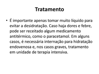 Tratamento
• É importante apenas tomar muito líquido para
evitar a desidratação. Caso haja dores e febre,
pode ser receitado algum medicamento
antitérmico, como o paracetamol. Em alguns
casos, é necessária internação para hidratação
endovenosa e, nos casos graves, tratamento
em unidade de terapia intensiva.
 