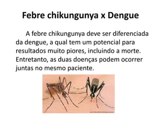 Febre chikungunya x Dengue
A febre chikungunya deve ser diferenciada
da dengue, a qual tem um potencial para
resultados muito piores, incluindo a morte.
Entretanto, as duas doenças podem ocorrer
juntas no mesmo paciente.
 