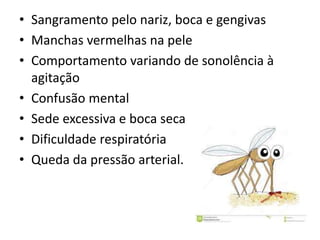 • Sangramento pelo nariz, boca e gengivas
• Manchas vermelhas na pele
• Comportamento variando de sonolência à
agitação
• Confusão mental
• Sede excessiva e boca seca
• Dificuldade respiratória
• Queda da pressão arterial.
 