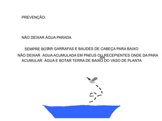 PREVENÇÃO:
NÃO DEIXAR ÁGUA PARADA
SEMPRE BOT
AR
AR GARRAFAS E BAUDES DE CABEÇA PARA BAIXO
NÃO DEIXAR ÁGUA ACUMULADA EM PNEUS OU RECEPIENTES ONDE DA PARA
ACUMULAR ÁGUA E BOTAR TERRA DE BAIXO DO VASO DE PLANTA
 