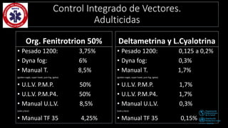 Dengue y Control de Vectores.