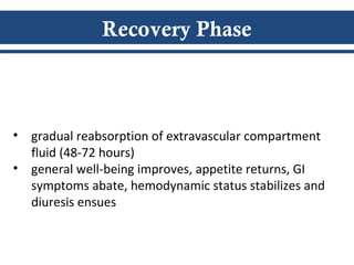 Recovery Phase
• gradual reabsorption of extravascular compartment
fluid (48-72 hours)
• general well-being improves, appetite returns, GI
symptoms abate, hemodynamic status stabilizes and
diuresis ensues
 