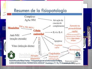 Fisiopatología
Respuesta inmunitaria

•

•

Personas que experimentan infección por dengue,
desarrollan anticuerpos séricos que pueden
neutralizar al virus del mismo serotipo (homólogos)

En una subsequente infección, la preexistencia de Ac.
Heterólogos forma complejos con el nuevo serotipo
viral infectante, pero no neutraliza el nuevo virus.

 