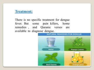 Treatment:
There is no specific treatment for dengue
fever. But some pain killers, home
remedies , and Quranic verses are
available to diagnose dengue.
 