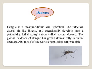 Dengue is a mosquito-borne viral infection. The infection
causes flu-like illness, and occasionally develops into a
potentially lethal complication called severe dengue. The
global incidence of dengue has grown dramatically in recent
decades. About half of the world's population is now at risk.
Dengue:
 