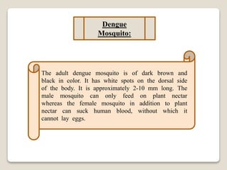 Dengue
Mosquito:
The adult dengue mosquito is of dark brown and
black in color. It has white spots on the dorsal side
of the body. It is approximately 2-10 mm long. The
male mosquito can only feed on plant nectar
whereas the female mosquito in addition to plant
nectar can suck human blood, without which it
cannot lay eggs.
 