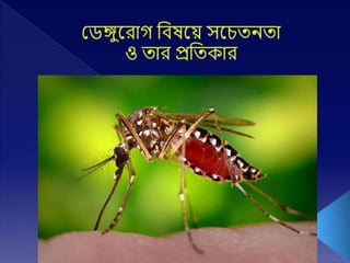 Dengue Fever awareness in Bangla