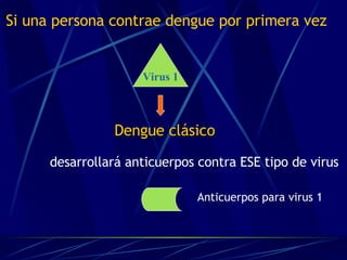 Si una persona contrae dengue por primera vez Dengue clásico   desarrollará anticuerpos contra ESE tipo de virus   Virus 1 Anticuerpos para virus 1 