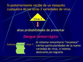 Si posteriormente recibe de un mosquito cualquiera de las otras 3 variedades de virus altas probabilidades de presentar  Dengue hemorrágico Virus 2 Anticue rpos   par a virus 1 el sistema inmunitario “reconoce” ciertas particularidades de la nueva variedad de virus, e intenta destruirlo,sin lograrlo 