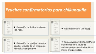 Pruebas confirmatorias para chikunguña
♦ Detección de ácidos nucleicos
(RT-PCR).
♦ Aislamiento viral (en BSL3).
♦ Detección de IgM (en muestra
aguda), seguida de un ensayo de
neutralización positivo.
♦ Seroconversión (ELISA IgM/IgG)
o aumento en el título de
anticuerpos por neutralización en
mues- tras pareadas.
 
