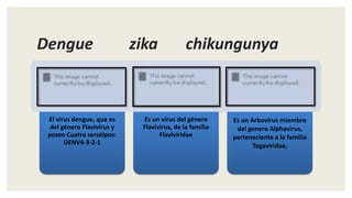 Dengue zika chikungunya
El virus dengue, que es
del género Flavivirus y
posee Cuatro serotipos:
DENV4-3-2-1
Es un vírus del género
Flavivirus, de la família
Flaviviridae
Es un Arbovirus miembro
del genero Alphavirus,
perteneciente a la familia
Togaviridae,
 