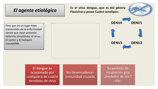 DENV1
DENV2DENV3
DENV4
El agente etiológico
El dengue es
ocasionado por
cualquiera de cuatro
serotipos de virus
No desencadenan
inmunidad cruzada
Su período de
incubación gira
alrededor de los 7
días
Es el virus dengue, que es del género
Flavivirus y posee Cuatro serotipos:
Para que en un lugar haya
transmisión de la enfermedad
tienen que estar presente
deforma simultánea: el virus,
el vector y el huésped
susceptible.
 