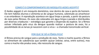 COMO É O COMPORTAMENTO DO MOSQUITO AEDES AEGYPTI?
O Aedes aegypti é um mosquito doméstico, vive dentro de casa e perto do homem.
Ele tem hábitos diurnos e alimenta-se de sangue humano, sobretudo ao amanhecer
e ao entardecer. A reprodução acontece em água limpa e parada, a partir da postura
de ovos pelas fêmeas. Os ovos são colocados em água limpa e parada e distribuídos
por diversos criadouros – estratégia que garante a dispersão da espécie. Se a fêmea
estiver infectada pelo vírus da dengue quando realizar a postura de ovos, há a
possibilidade de as larvas já nascerem com o vírus – a chamada transmissão vertical.
POR QUE SE SÓ A FÊMEA PICA?
A fêmea precisa de sangue para a produção de ovos. Tanto o macho quanto a fêmea
se alimentam de substâncias que contêm açúcar (néctar, seiva, entre outros), mas
como o macho não produz ovos, não necessita de sangue.
 