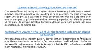 QUANTAS PESSOAS UM MOSQUITO É CAPAZ DE INFECTAR?
O mosquito fêmea suga sangue para produzir ovos. Se o mosquito da dengue estiver
infectivo, poderá transmitir o vírus da dengue neste processo. Em geral, mosquitos
sugam uma só pessoa a cada lote de ovos que produzem. Mas ele é capaz de picar
mais de uma pessoa para um mesmo lote de ovos que produz. Há relato de que um
só mosquito da dengue infectivo transmitiu dengue para cinco pessoas de uma
mesma família, no mesmo dia.
COMO O AEDES AEGYPTI CHEGOU AO BRASIL? HÁ REGISTRO HISTÓRICO DE DENGUE
NO PASSADO?
As teorias mais aceitas indicam que o A. aegypti tenha se disseminado da África para
o continente americano por embarcações que aportaram no Brasil para o tráfico de
escravos. Há registro da ocorrência da doença em Curitiba (PR) no final do século XIX
e, em Niterói (RJ), no início do século XX.
 