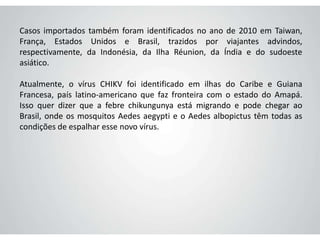 Casos importados também foram identificados no ano de 2010 em Taiwan,
França, Estados Unidos e Brasil, trazidos por viajantes advindos,
respectivamente, da Indonésia, da Ilha Réunion, da Índia e do sudoeste
asiático.
Atualmente, o vírus CHIKV foi identificado em ilhas do Caribe e Guiana
Francesa, país latino-americano que faz fronteira com o estado do Amapá.
Isso quer dizer que a febre chikungunya está migrando e pode chegar ao
Brasil, onde os mosquitos Aedes aegypti e o Aedes albopictus têm todas as
condições de espalhar esse novo vírus.
 