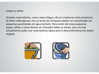 Limpe as calhas
Grandes reservatórios, como caixas d'água, são os criadouros mais produtivos
de febre chikungunya, mas as larvas do mosquito podem ser encontradas em
pequenas quantidades de água também. Para evitar até essas pequenas
poças, calhas e canos devem ser checados todos os meses, pois um leve
entupimento pode criar reservatórios ideais para o desenvolvimento do Aedes
aegypti.
 