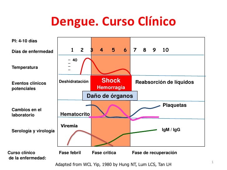 Dengue Grave Con Datos De Alarma