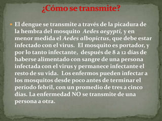  El dengue se transmite a través de la picadura de
la hembra del mosquito Aedes aegypti, y en
menor medida el Aedes albopictus, que debe estar
infectado con el virus. El mosquito es portador, y
por lo tanto infectante, después de 8 a 12 días de
haberse alimentado con sangre de una persona
infectada con el virus y permanece infectante el
resto de su vida. Los enfermos pueden infectar a
los mosquitos desde poco antes de terminar el
período febril, con un promedio de tres a cinco
días. La enfermedad NO se transmite de una
persona a otra.
 