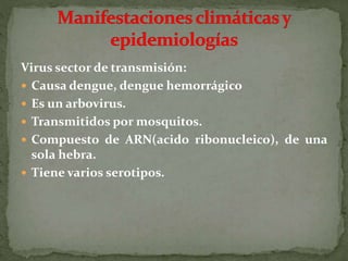 Virus sector de transmisión:
 Causa dengue, dengue hemorrágico
 Es un arbovirus.
 Transmitidos por mosquitos.
 Compuesto de ARN(acido ribonucleico), de una
sola hebra.
 Tiene varios serotipos.
 