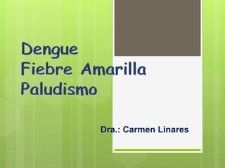 Dra.: Carmen Linares
 