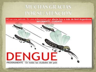 Dengue Importado