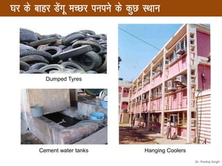 Hanging Coolers
Dumped Tyres
Cement water tanks
?kj ds ckgj Msaxw ePNj iuius ds dqN LFkku
Dr. Pankaj Singh
 