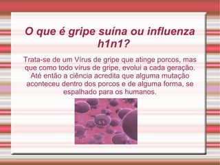 O que é gripe suína ou influenza h1n1? Trata-se de um Vírus de gripe que atinge porcos, mas que como todo vírus de gripe, evolui a cada geração. Até então a ciência acredita que alguma mutação aconteceu dentro dos porcos e de alguma forma, se espalhado para os humanos. 