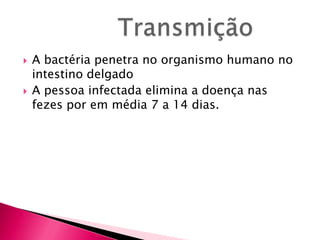 TransmiçãoA bactéria penetra no organismo humano no intestino delgado A pessoa infectada elimina a doença nas fezes por em média 7 a 14 dias.