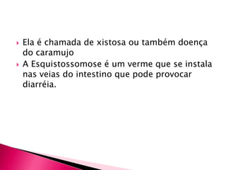 Ela é chamada de xistosa ou também doença do caramujoA Esquistossomose é um verme que se instala  nas veias do intestino que pode provocar diarréia.   