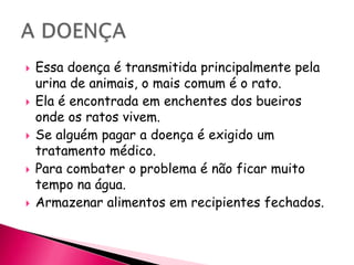 Essa doença é transmitidaprincipalmente pela urina de animais, o mais comum é o rato.Ela é encontrada em enchentes dos bueiros onde os ratos vivem.Se alguém pagar a doença é exigido um tratamento médico.Para combater o problema é não ficar muito tempo na água.Armazenar alimentos em recipientes fechados.A DOENÇA