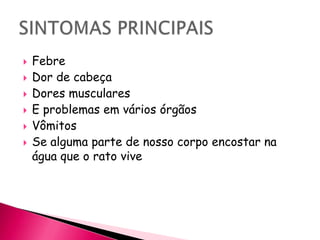 FebreDor de cabeçaDores muscularesE problemas em vários órgãosVômitosSe alguma parte de nosso corpo encostar na água que o rato vive SINTOMAS PRINCIPAIS
